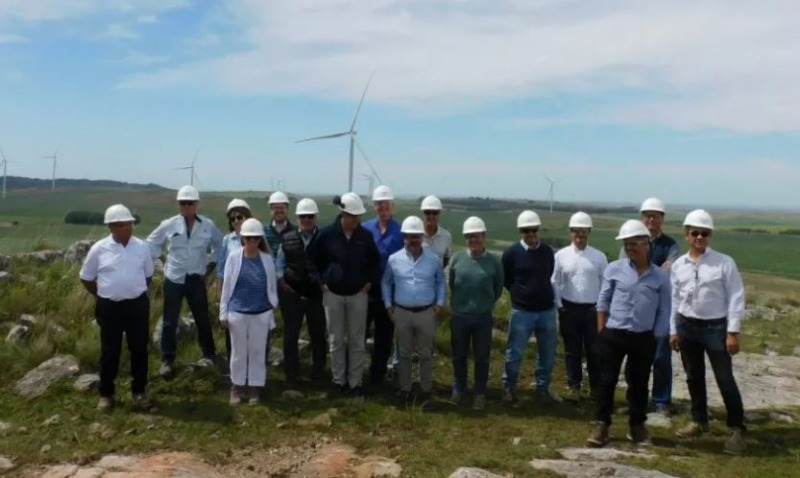 YPF Luz y Cementos Avellaneda desarrollarn un parque elico